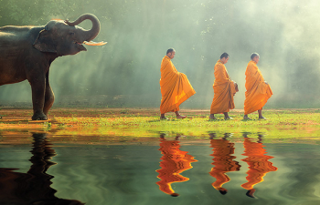 Our World: Social Justice and the Environment